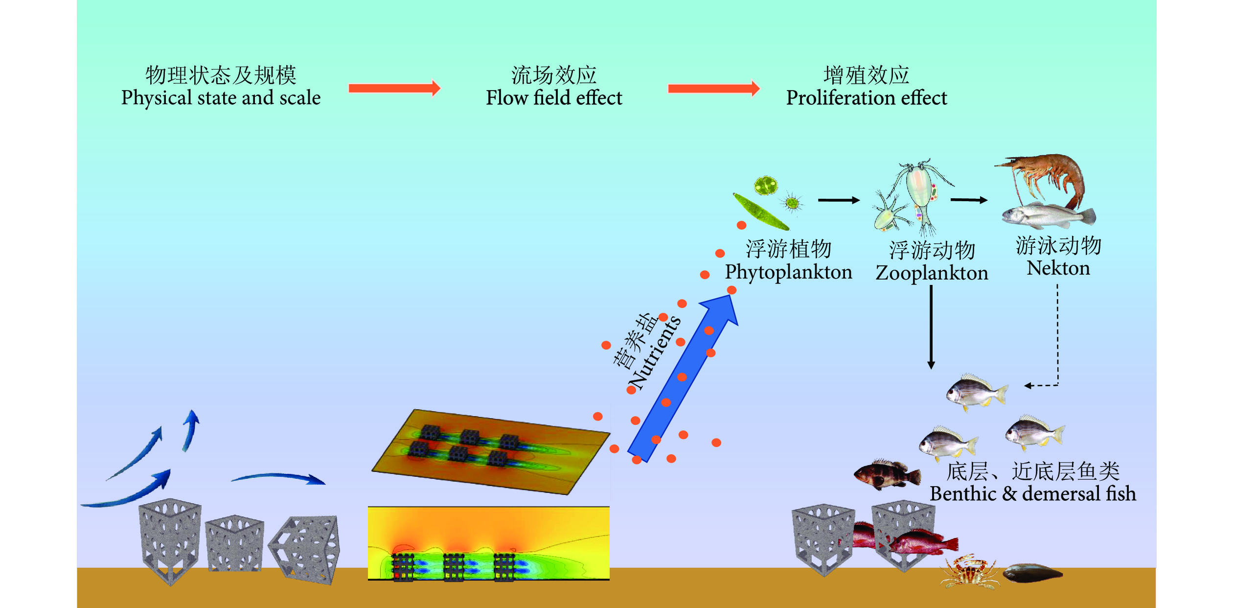 海洋牧场建设效益评价研究进展与展望